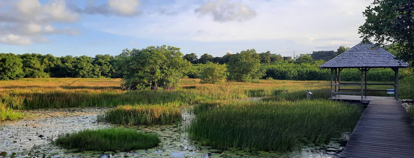 Salines de Montjoly