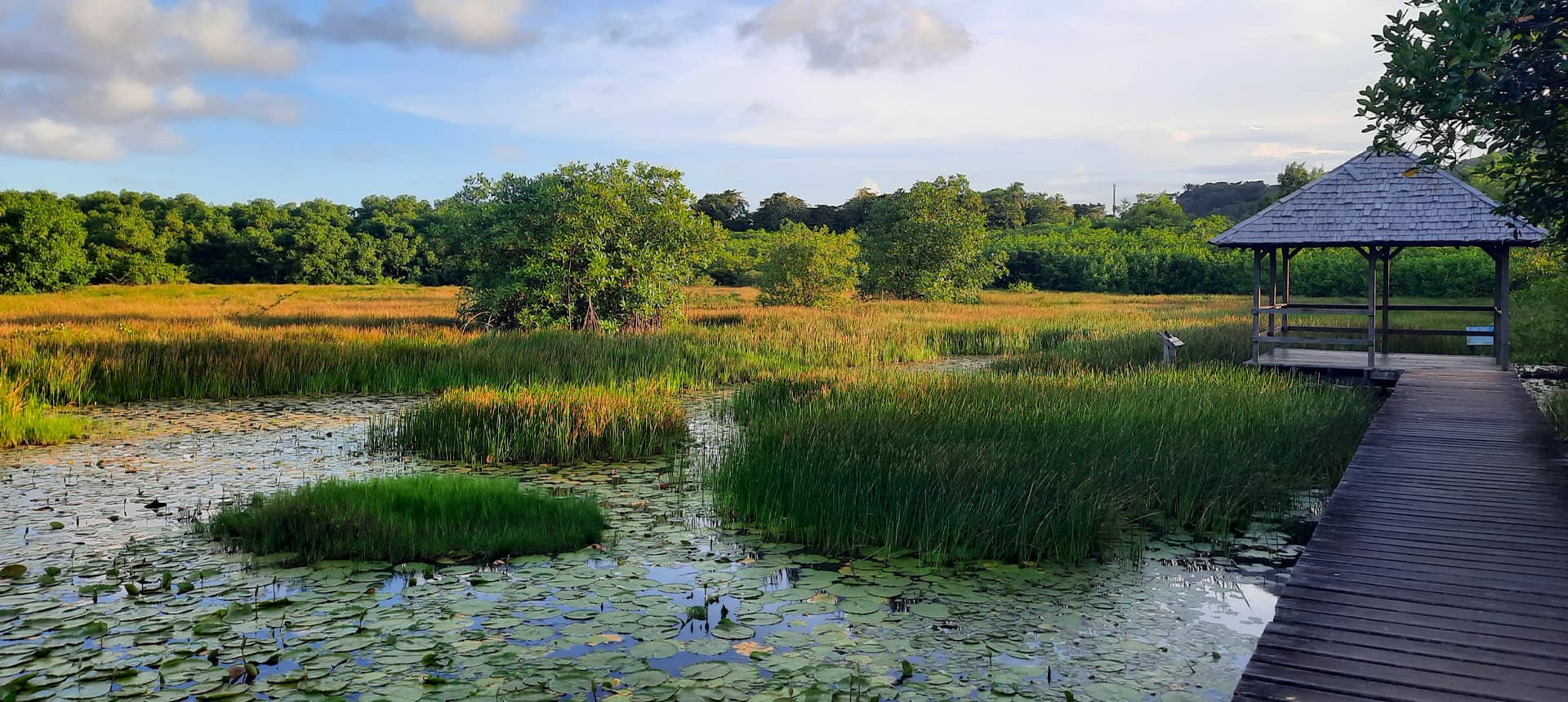 Salines de Montjoly